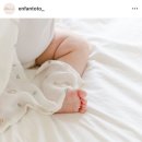 [벨몽] 19기 서포터즈 모집
