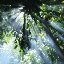 아시아드요양병원 이미지