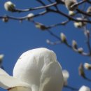 학생문화원 이미지