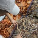 으뜸수산 - 고창군 중거리당산로 155 | 으뜸수산