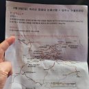 돌고래여행사(주) 네이버블로그