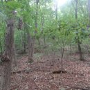 용산4리 이미지