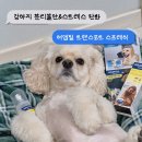 세바환경 | 율무 용품 | 강아지 스트레스·진정·분리불안 완화에 좋은 '세바 어뎁틸 트랜스포트 스프레이' 사용후기
