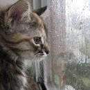 (주)제이오 이미지