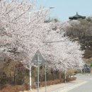 예천스타디움 경기장 네이버블로그