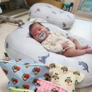 HO짐 | [HO-OH] 신축성 기저귀 파우치 4종 세트 사용 후기