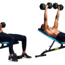 5. Incline(d) Dumbbell Bench Press 이미지