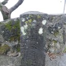 명월교 Daum카페
