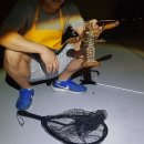 왜관ic실내바다낚시터 이미지