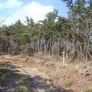 양화마을 이미지