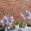 수원-1957 이미지