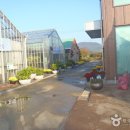 거제시농업개발원 이미지