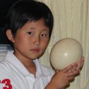 종원농장 이미지