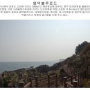 푸른항공여행사 이미지