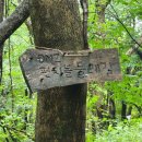 늘솔펜션 네이버블로그