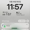 [미국일상 / 플로리다 마이애미] 코코넛그로브 코코워크, 마이애미 베이사이드 캔디샵, 코럴게이블즈...