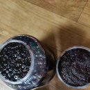 머리하는날 이미지