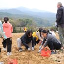 인처골마을 이미지