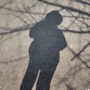 김영삼농장 이미지