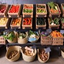 비타민사우나 이미지