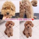 하단동174 이미지