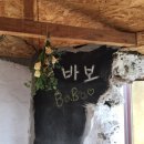바보까페 네이버블로그