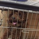 남이가스충전소 이미지