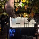 강남수제비&강남식당 | 주신당 강남 후기 반년이 지나도 기억나는 모임하기 좋은 강남역 이색 칵테일바