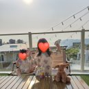 GS25지세포대로점 | 거제펜션 어나더데이 거제도펜션추천 야외수영장 실내자쿠지 영화방 개별바베큐
