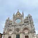 농가민박 | #12 🇮🇹 토스카나_아그리투스모 농가민박 후기 (직접 가보니 주인장이 이탈리아에 없었..)