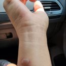 이현철의원 이미지