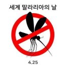 4월25일 세계말라리아의 날 이미지