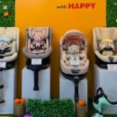 (주)해피렌트카 이미지