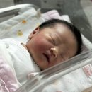 로즈맘산부인과 이미지