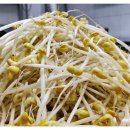 인생아구찜안산