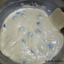 블루머핀 이미지