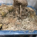 소나무정형외과의원 이미지