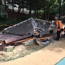 도심공원 이미지