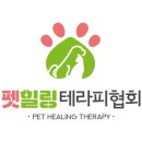 HMC펫케어 이미지