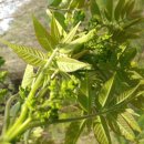 오티농장 이미지