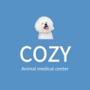 W 인천심장동물병원 | [공지] 강아지 스케일링, 발치를 권하는 이유? 인천 코지 동물병원