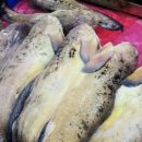 백합식당 이미지