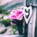 고려한의원 이미지