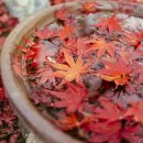 더나은PC 이미지