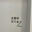 헤이든동물병원 이미지