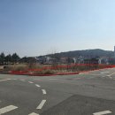 선산대로-50 이미지