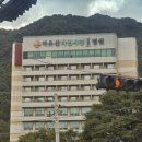 덕유산자연사랑요양병원 | [1년 전 오늘] 잘생긴 곰 덕유산자연사랑요양병원에서 퇴원했습니다
