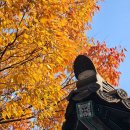 용성버스정류장 이미지