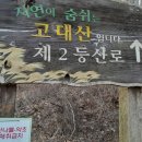 삼보쉼터 이미지