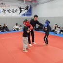 더혼 복산도장 이미지